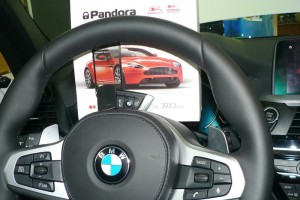 Установка gsm сигнализации Pandora DXL 3910 PRO на BMW X3 (G01)